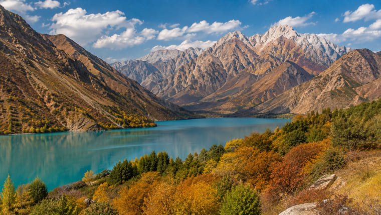 осень